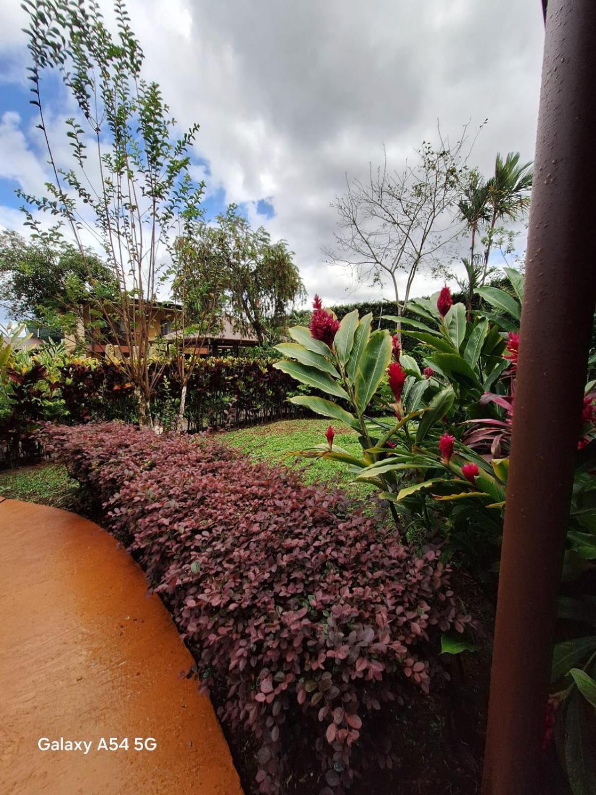 Iris Arenal Hotel La Fortuna Exterior photo